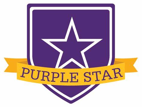  PurpleStar